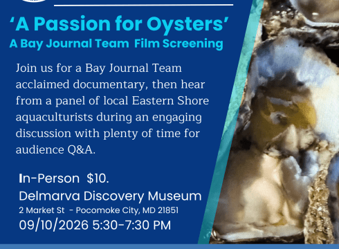 Sip of Science 'A Passion for Oysters'