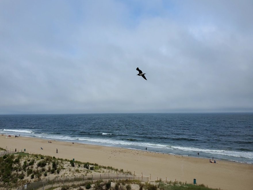 Quality Inn Oceanfront