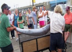 Happy Hooker Bay Fishing