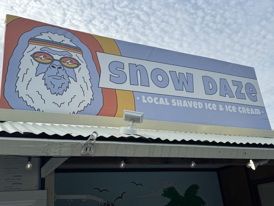 Snow Daze