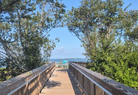 Beyond the Horses: Experience Assateague Like a Local While Also Giving Back